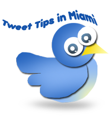 twitter-bird-jimmy SEO miami illustration web design